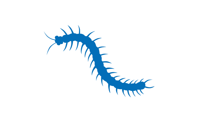 ムカデ•ヤスデ駆除